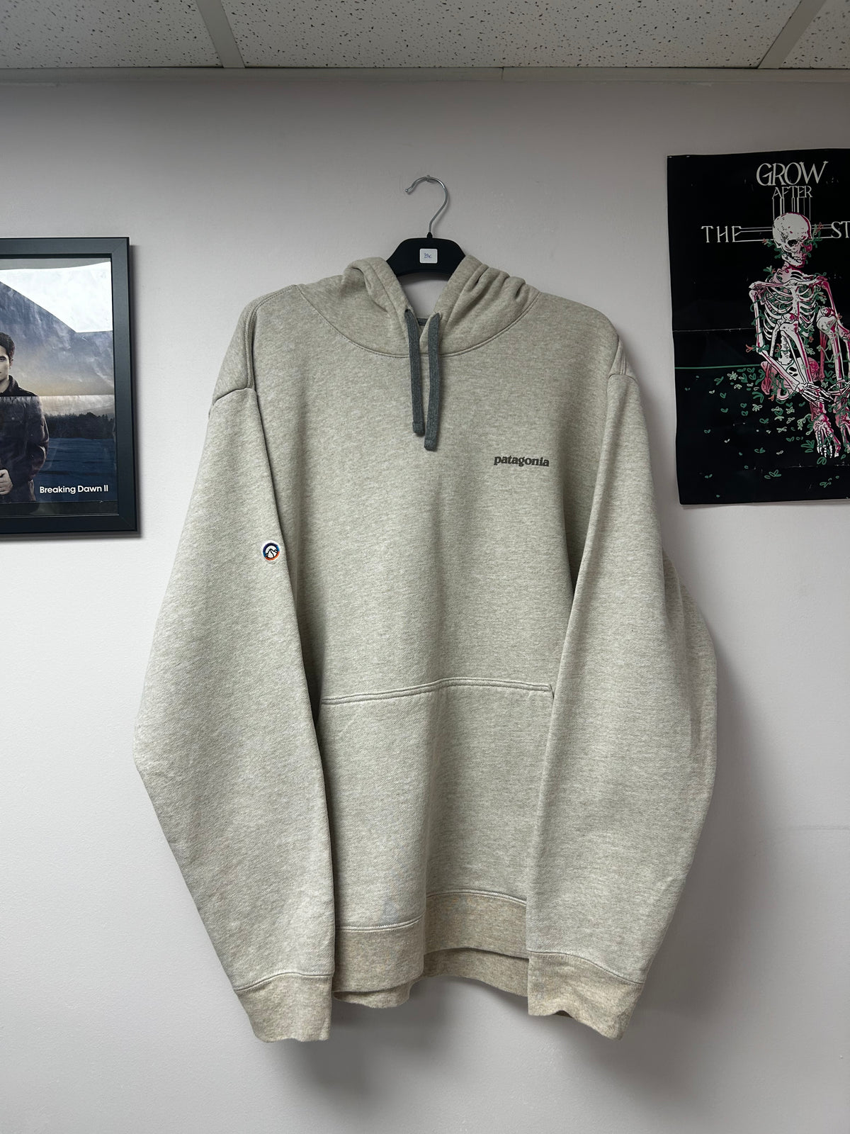 Patagonia hoodie