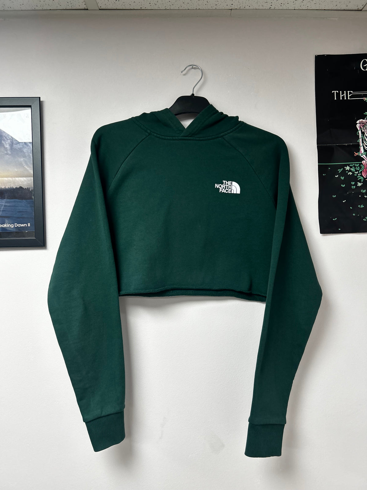 North face cropped hoodie