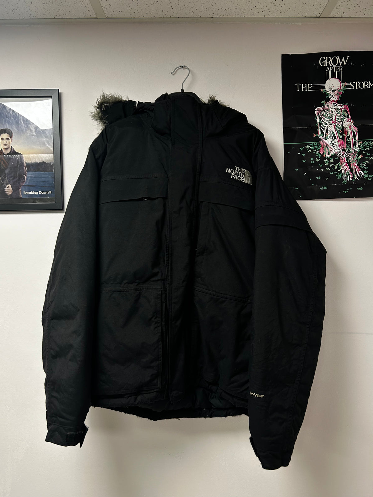 The north face thick jacket