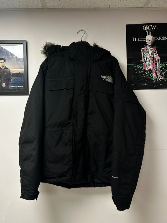 The north face thick jacket