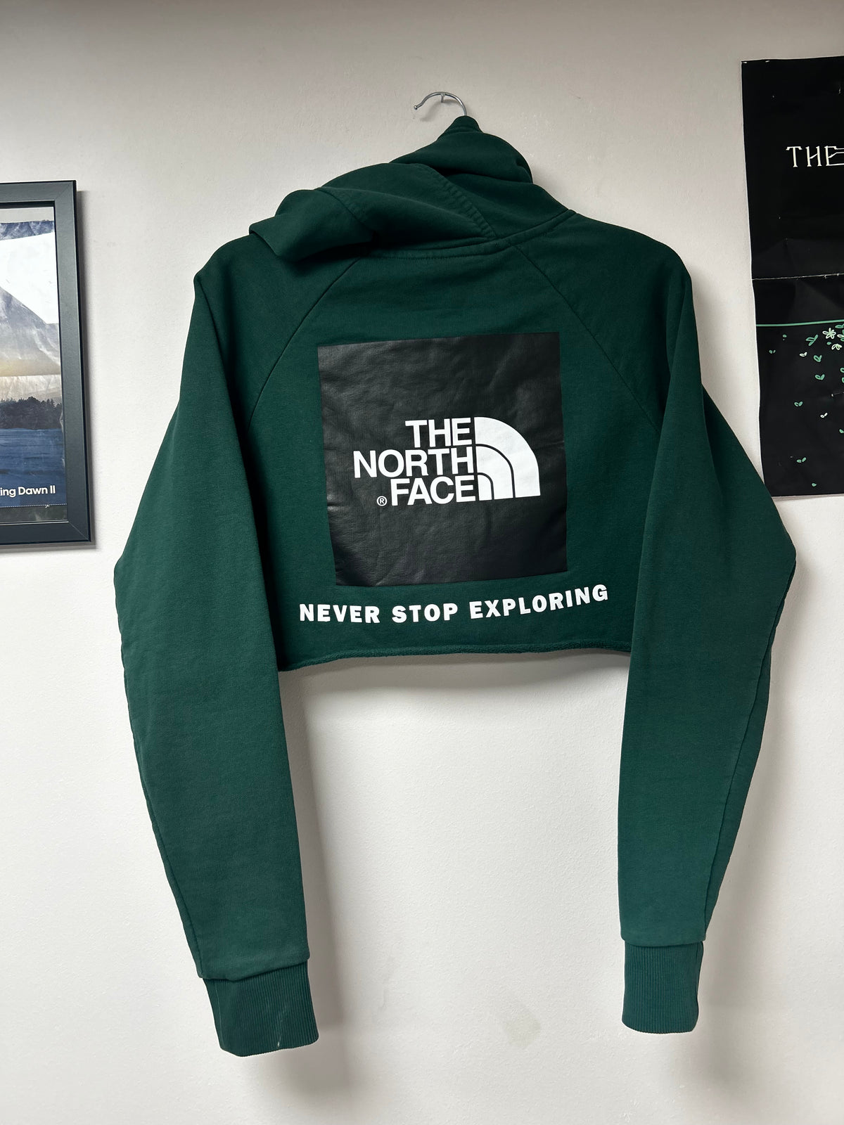 North face cropped hoodie